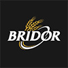 Logo bridor web