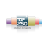 Top 250 éditeur logiciel syntec EY